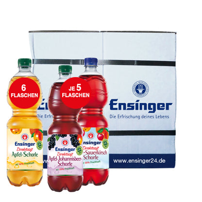 ENSINGER DIREKTSAFT-SCHORLEN PAKET Einweg